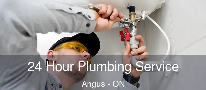  24 Hour Plumbing Service Angus - ON