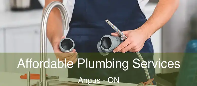  Affordable Plumbing Services Angus - ON