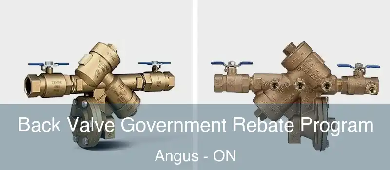  Back Valve Government Rebate Program Angus - ON