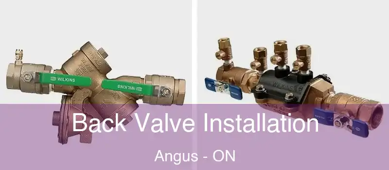  Back Valve Installation Angus - ON