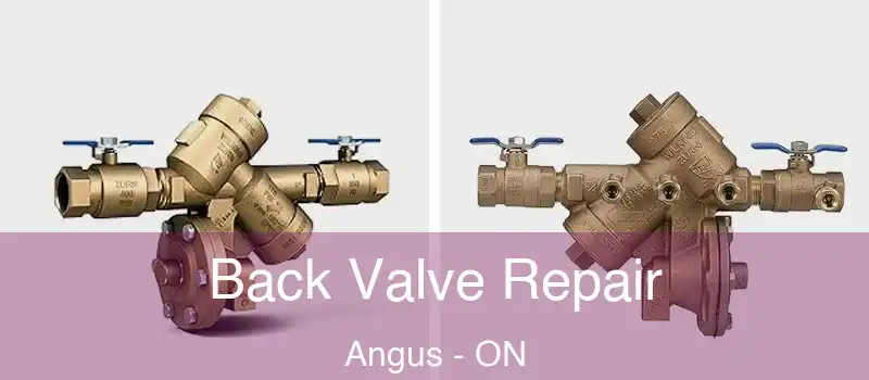  Back Valve Repair Angus - ON