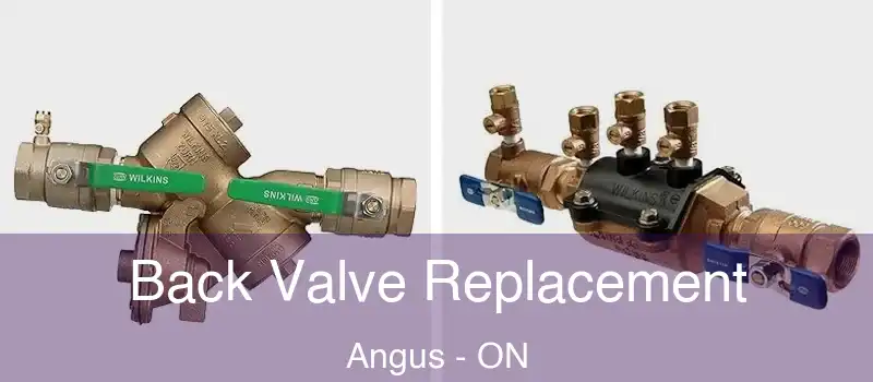  Back Valve Replacement Angus - ON