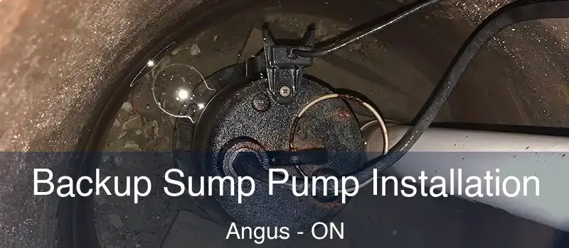  Backup Sump Pump Installation Angus - ON