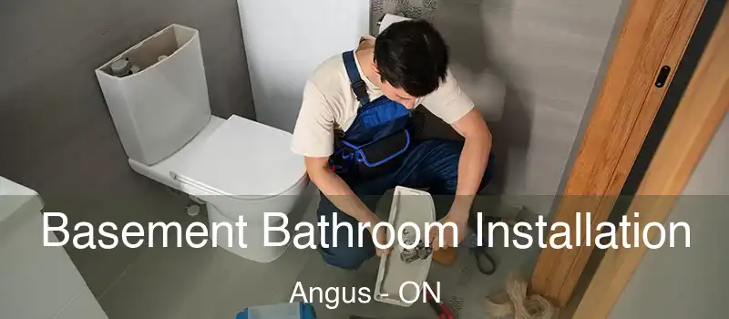  Basement Bathroom Installation Angus - ON