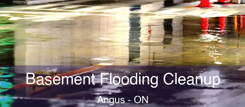  Basement Flooding Cleanup Angus - ON