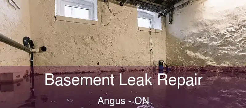  Basement Leak Repair Angus - ON