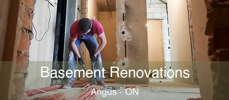  Basement Renovations Angus - ON