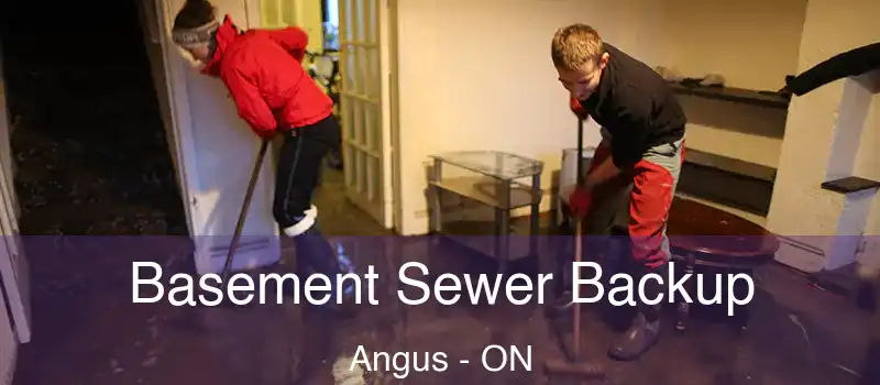  Basement Sewer Backup Angus - ON