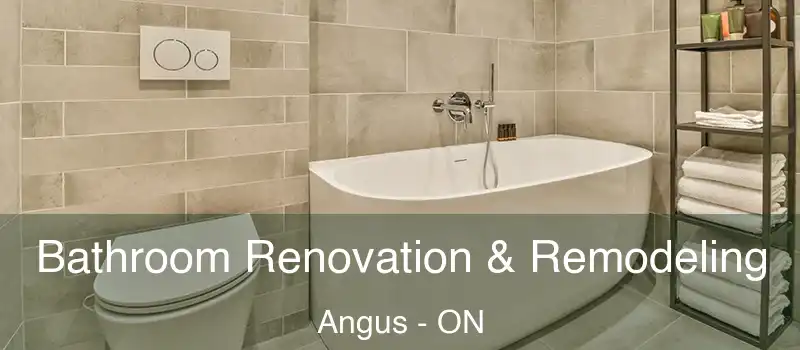  Bathroom Renovation & Remodeling Angus - ON