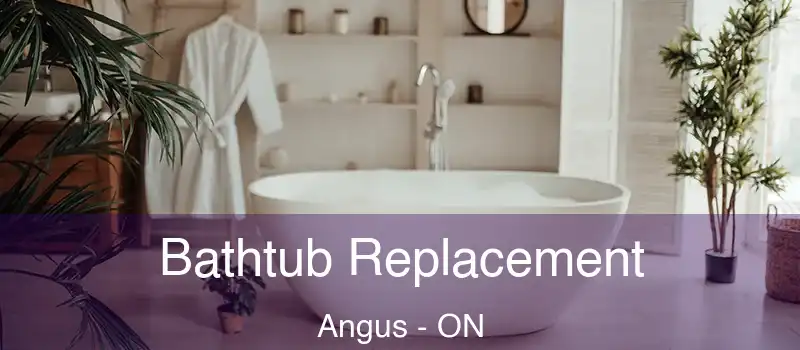  Bathtub Replacement Angus - ON