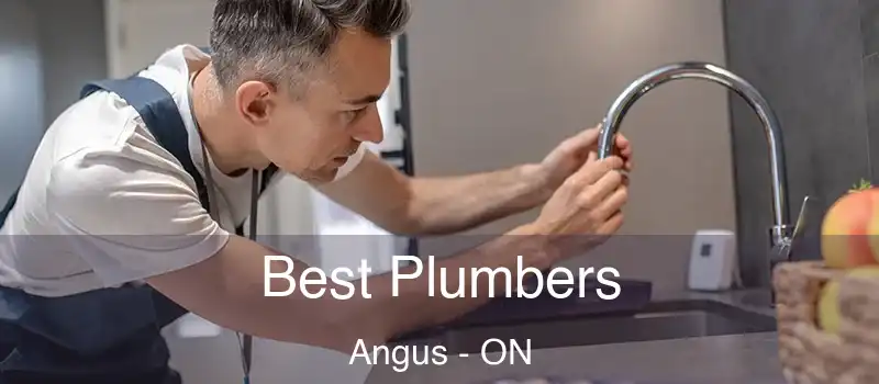  Best Plumbers Angus - ON