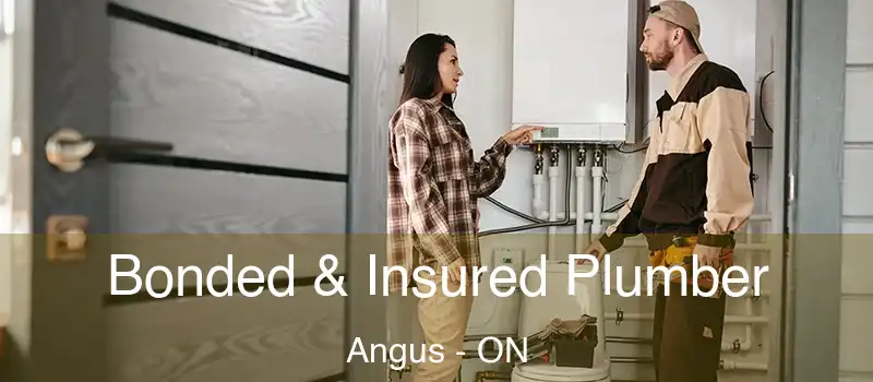  Bonded & Insured Plumber Angus - ON