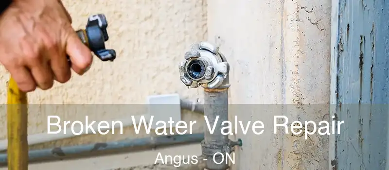  Broken Water Valve Repair Angus - ON