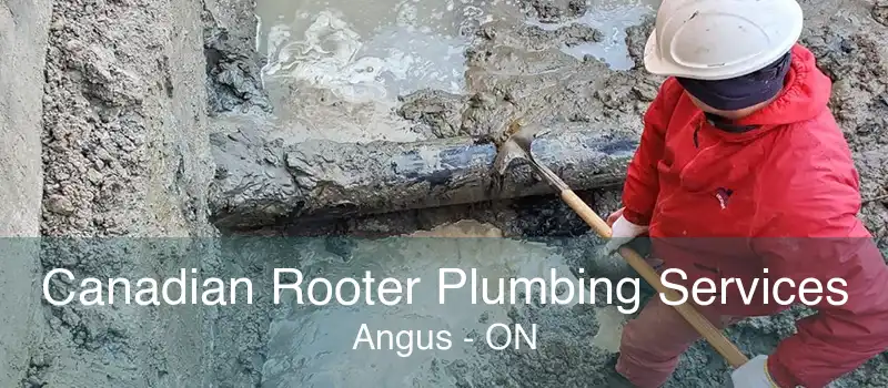 Canadian Rooter Plumbing Services Angus - ON