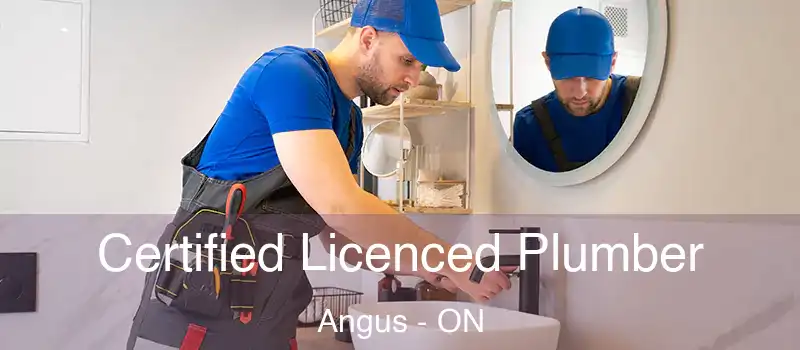  Certified Licenced Plumber Angus - ON