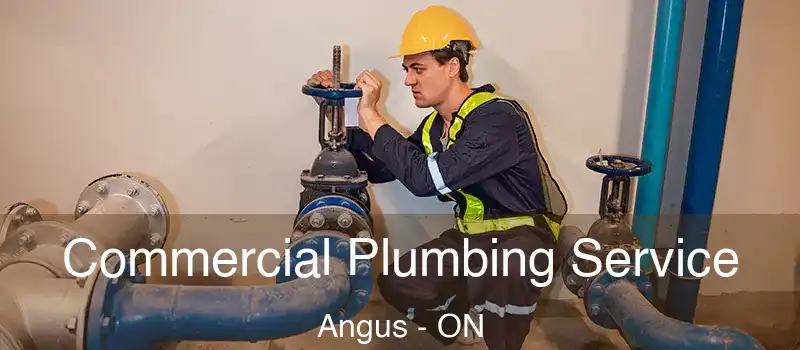  Commercial Plumbing Service Angus - ON