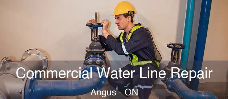  Commercial Water Line Repair Angus - ON