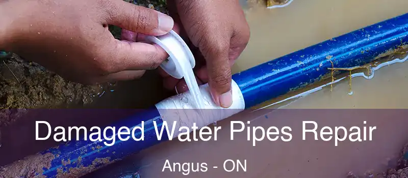  Damaged Water Pipes Repair Angus - ON