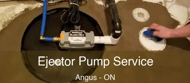  Ejector Pump Service Angus - ON