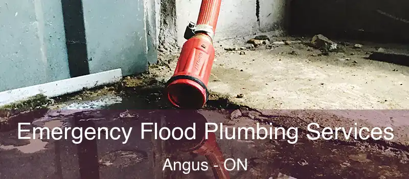  Emergency Flood Plumbing Services Angus - ON