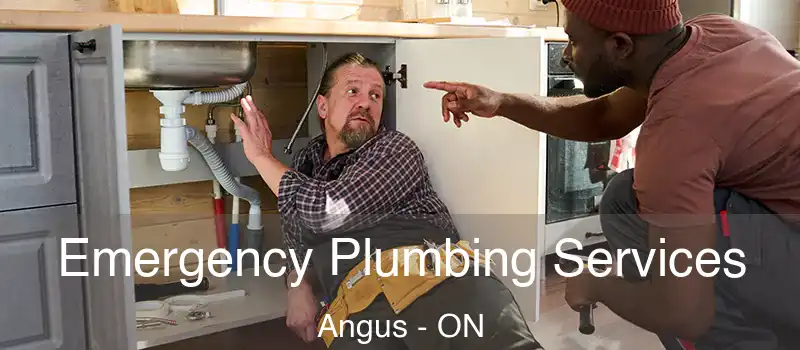  Emergency Plumbing Services Angus - ON