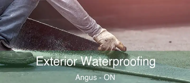  Exterior Waterproofing Angus - ON