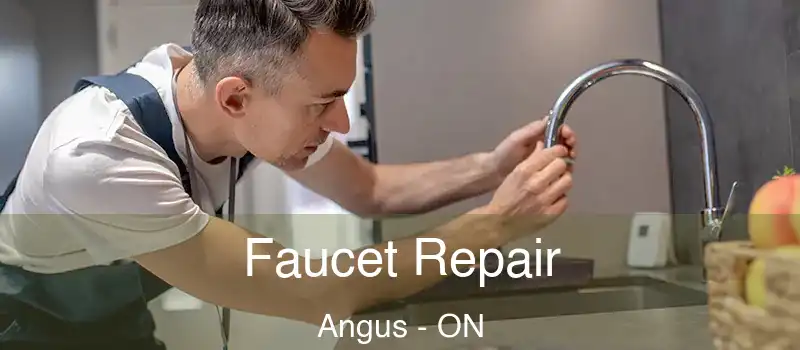  Faucet Repair Angus - ON