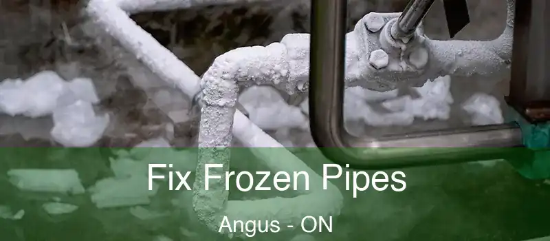  Fix Frozen Pipes Angus - ON