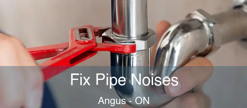  Fix Pipe Noises Angus - ON