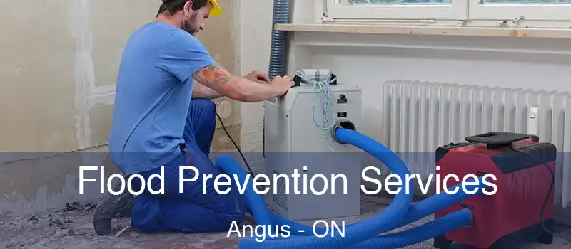  Flood Prevention Services Angus - ON