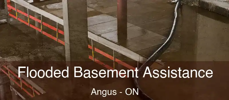  Flooded Basement Assistance Angus - ON