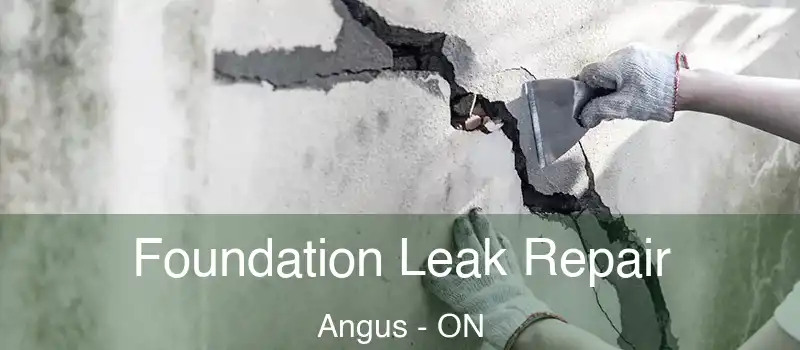  Foundation Leak Repair Angus - ON