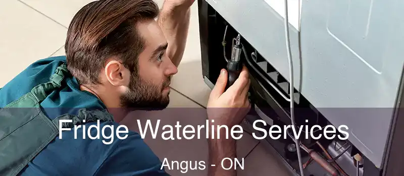  Fridge Waterline Services Angus - ON