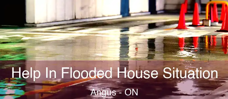  Help In Flooded House Situation Angus - ON