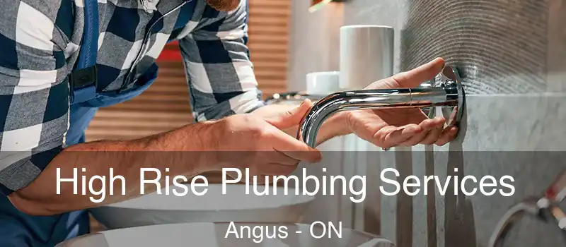  High Rise Plumbing Services Angus - ON