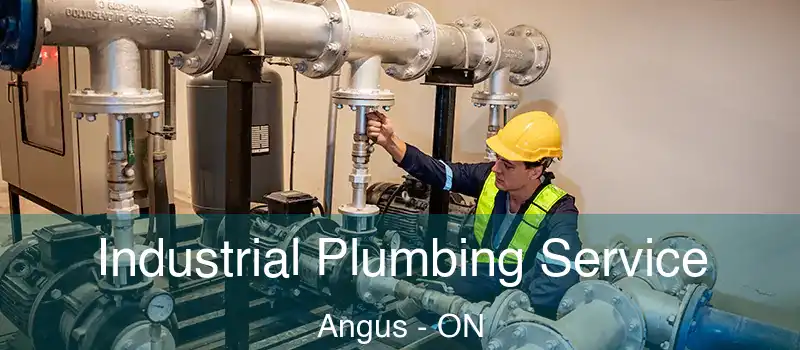  Industrial Plumbing Service Angus - ON