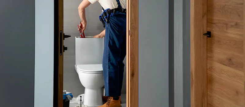 Plumber for Toilet Installation in Angus, Ontario