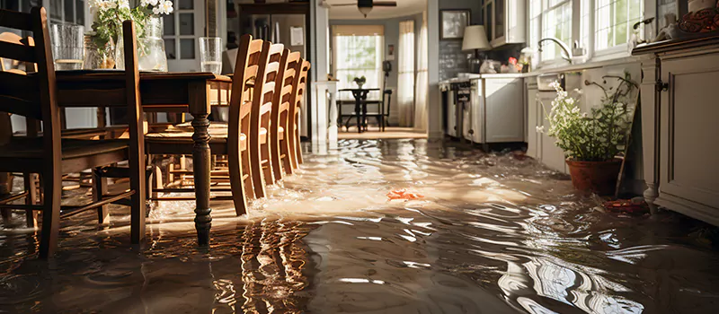 Flooded House Help Near Me in Angus, Ontario