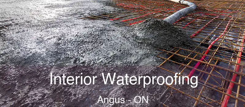  Interior Waterproofing Angus - ON