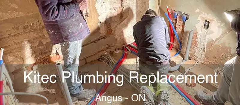  Kitec Plumbing Replacement Angus - ON