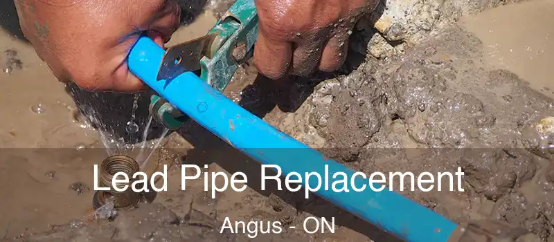  Lead Pipe Replacement Angus - ON