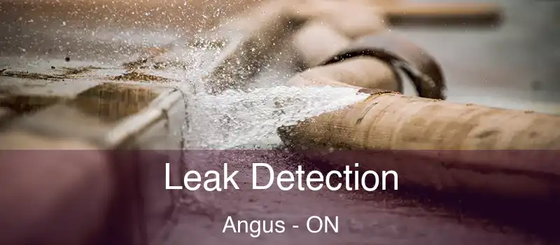  Leak Detection Angus - ON