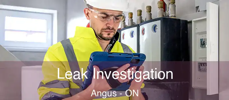  Leak Investigation Angus - ON