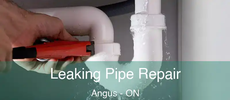  Leaking Pipe Repair Angus - ON