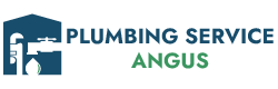 Top Rated Plumbing Service in Angus