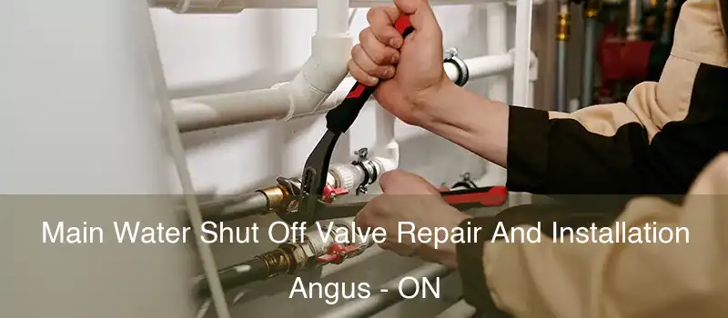  Main Water Shut Off Valve Repair And Installation Angus - ON