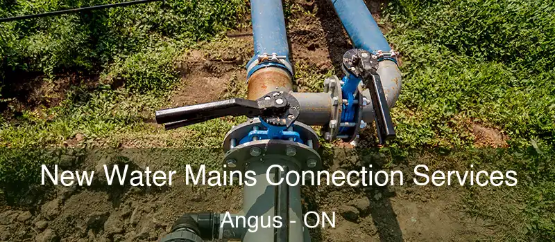  New Water Mains Connection Services Angus - ON