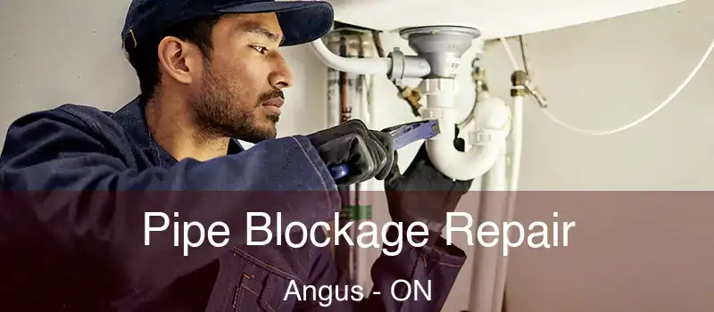  Pipe Blockage Repair Angus - ON