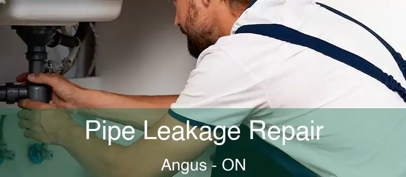  Pipe Leakage Repair Angus - ON