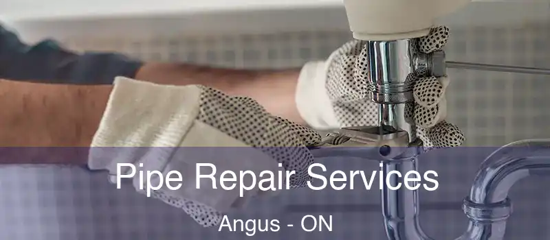  Pipe Repair Services Angus - ON